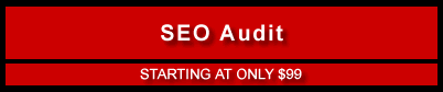 SEO Audit for only $99