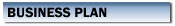 Business Plan